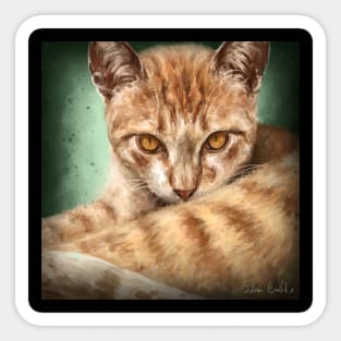 Painting of a an Orange Cat Looking Directly at You, Green Background Sticker